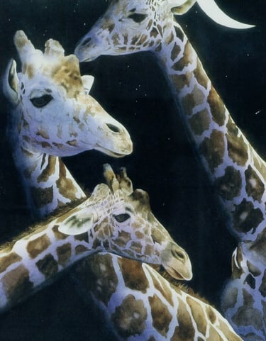 a group of giraffes standing next to each other