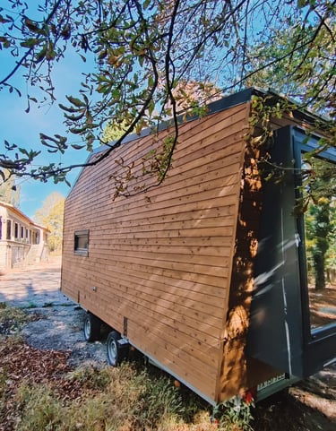 a tiny house with a tiny house on wheels
