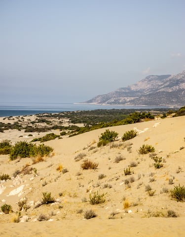 Patara dunes