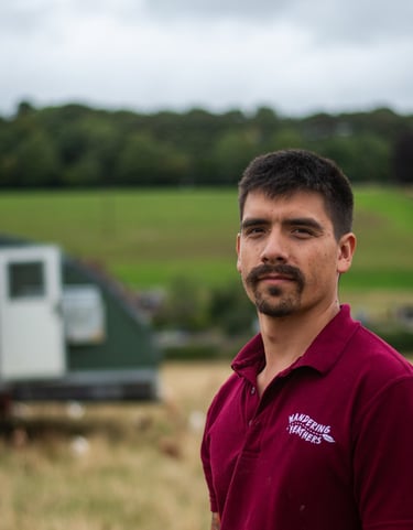 organic chicken farmer Uk Hampshire