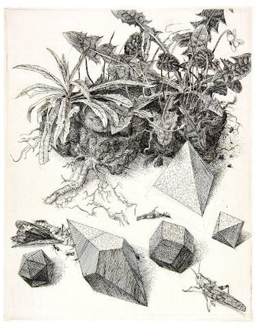 Piece of Turf Durer Homage hand engraving grasshopper polyhedra Robert De Groff DeGroff