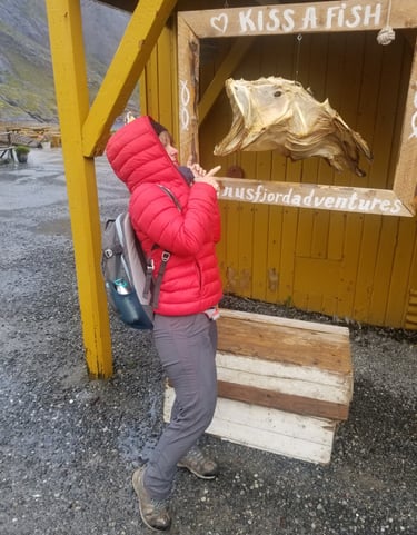 Voyage aux îles Lofoten
