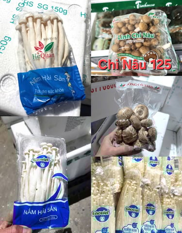 Các loại nấm chay