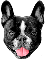 Logo Monpetitparrain.fr | Bons plans & codes promo