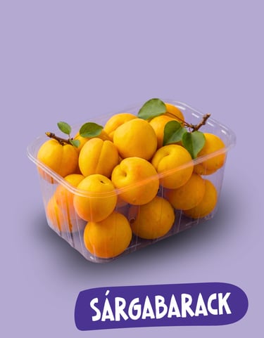 Friss, érett sárgabarackok műanyag tartályban, lila háttér előtt.