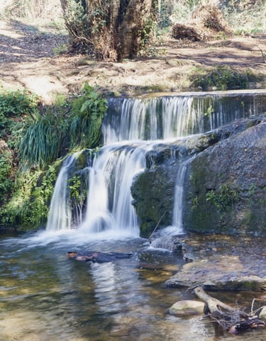 Una pequeña cascada en un arroyo de montaña.
