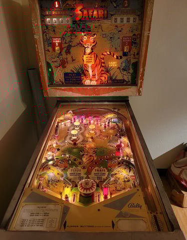 Pinball Repair