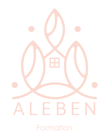 formation animation sociale et accompagnement des intervenants