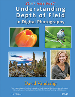 David Vanderlip's Depth of Field book