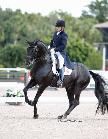 Rick Silvia with Rubinero - Global Dressage Festival 2015