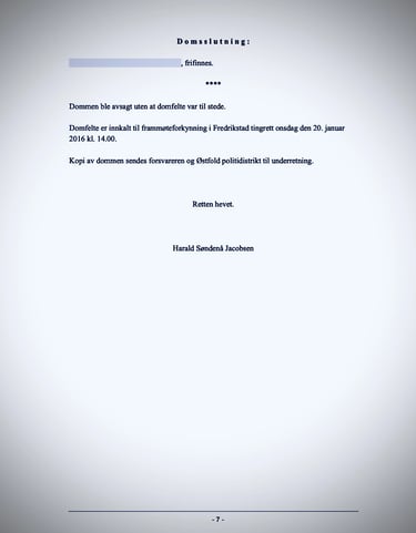 Salah Al-Saadi, Qatranada Adnan Abdulhussein، Hege Finsveen Østfold Politi, Fredrikstad Kommune bystyret, Fredrikstad SV