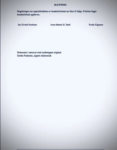 Oslo Police, Oslo Court, Zainab Abdulkarim - Zainab Ali Art, Paintings - Visual artist -Iraq,  Italy - Oslo- Norway