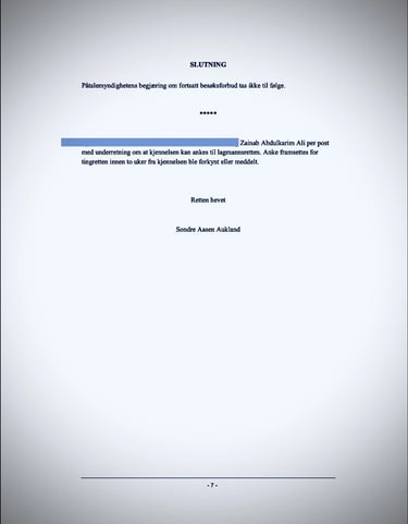 Oslo Police, Maren Brit Østern, Oslo Court, Zainab Abdulkarim - Zainab Ali Art, Paintings - Visual artist - Oslo- Norway