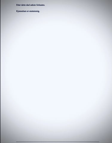 Oslo Police, Oslo Court, Zainab Abdulkarim - Zainab Ali Art, Paintings - Visual artist -Iraq,  Italy - Oslo- Norway