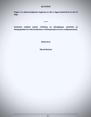 Oslo Police, Oslo Court, Zainab Abdulkarim - Zainab Ali Art, Paintings - Visual artist -Iraq,  Italy - Oslo- Norway