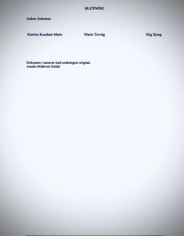 Oslo Police, Oslo Court, Zainab Abdulkarim - Zainab Ali Art, Paintings - Visual artist -Iraq,  Italy