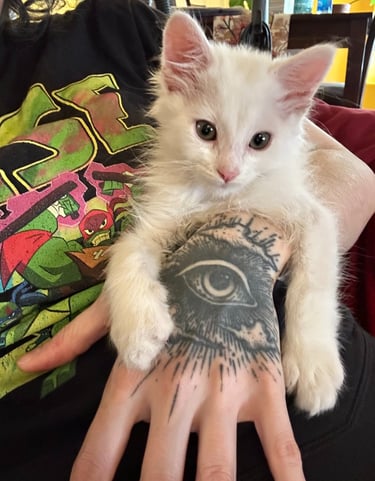 Monkey D. Luffy, 9 weeks old