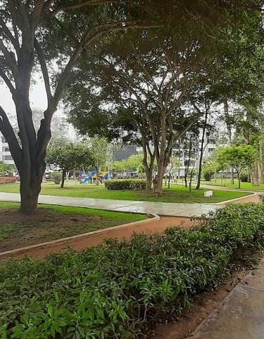 Parques amplios