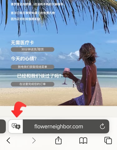 苹果 Safari 花邻