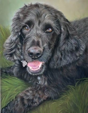 Cocker Spaniel Commission