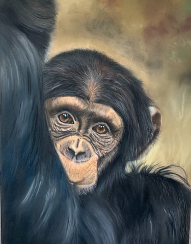Maternal Love - Chimp and Mum