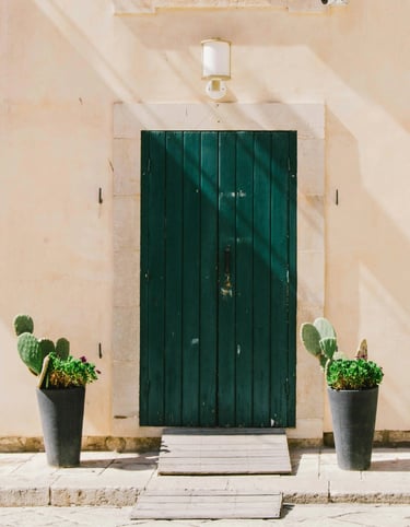 itahome luxury Rustic dark green wooden door on a beige stone wall flanked by potted cactus plants.