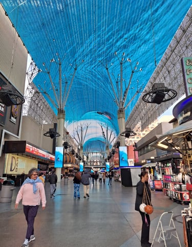 Finn's Footprints Las Vegas Nevada Budget Travel Review
