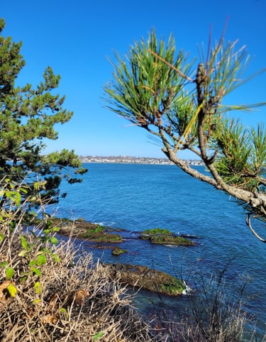 Cliff walk, Newport