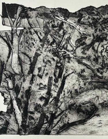 Google view - collagraph detail