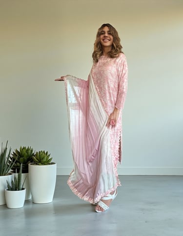 Light Pink Embroidered Silk Dress – Sana Zee