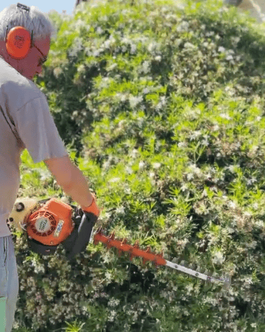 Ouvrier d'espaces verts taillant une haie