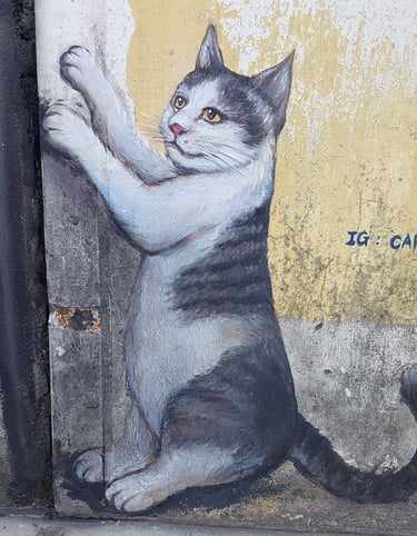 thai mueang street art cat