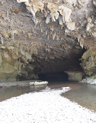 Cave entrance/ the breath taken view/ jaguar paw cave and jungle expedition
