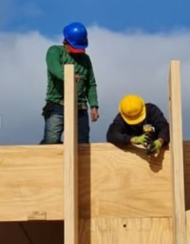 Instalação dos painéis estruturais em CLT durante a montagem da residência na Holanda