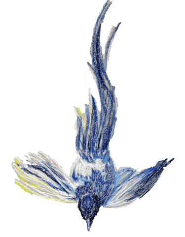 Tarifs accessibles adaptatifs