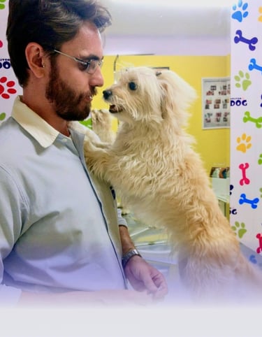 Vacinas Pet em Maringa