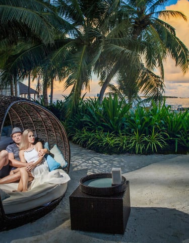 A romantic couple sitting in a cozy, woven wicker pod under tropical palm trees, enjoying