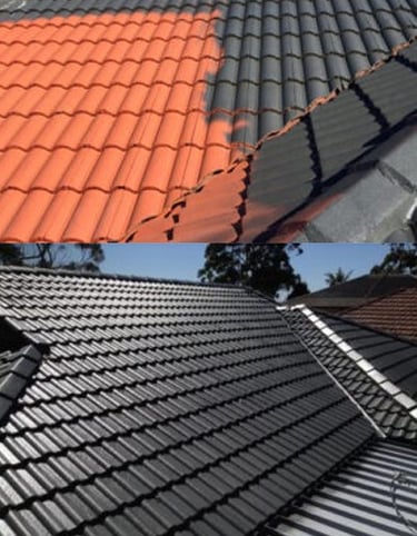 roof painting and restoration services