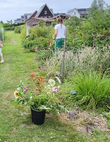 Een emmer met bloemen wordt geplukt in de bloementuin