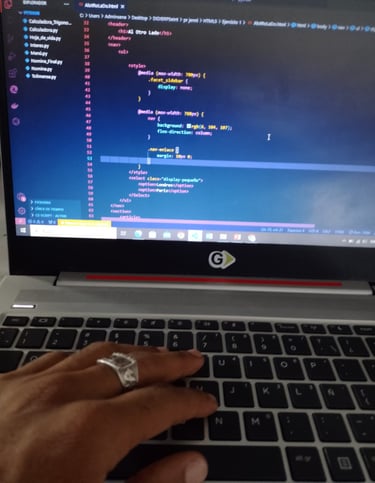 Programador