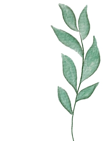 Ilustração delicada de folhas verdes em aquarela, elemento decorativo de terapia floral.