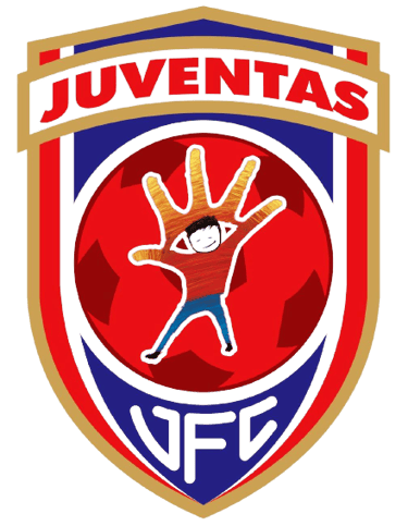 Escudo oficial, creado en 2011
