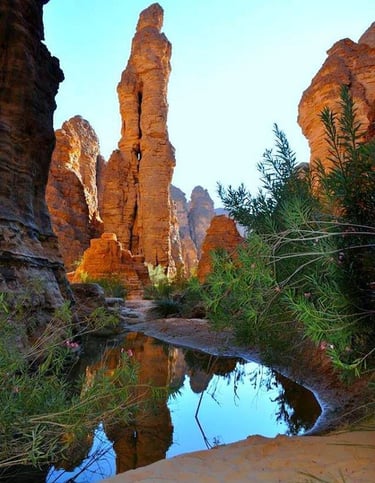 تاسيلي نجير