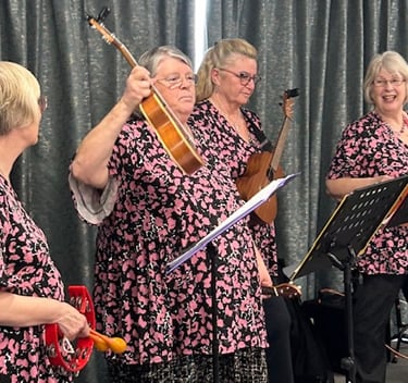 Ukuladies explain about the different ukes they use