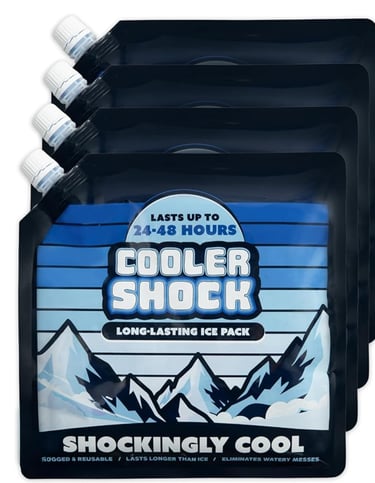 Disneyland reusable cooler packs