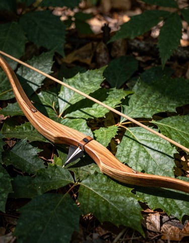 Detail of a handmade wooden bow and arrow resting on deep green leaves in a forest floor, dappled sunlight, warm editorial photography