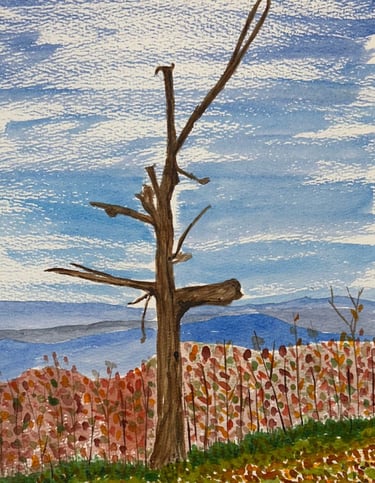 Original watercolor painting of a solitary tree centered in an autumn Shenandoah landscape