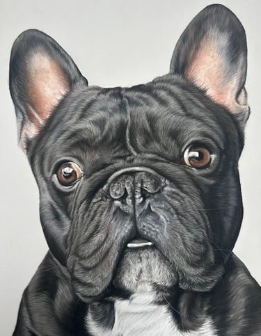 realistic pastel portrait of a black french bulldog