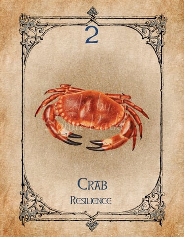 Crab card from the animal spirit oracle deck