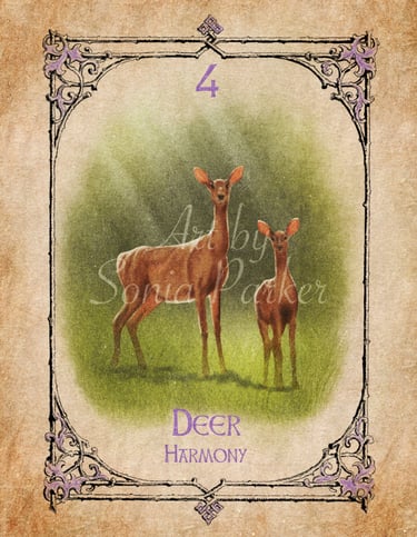 Deer card from the animal spirit oracle deck